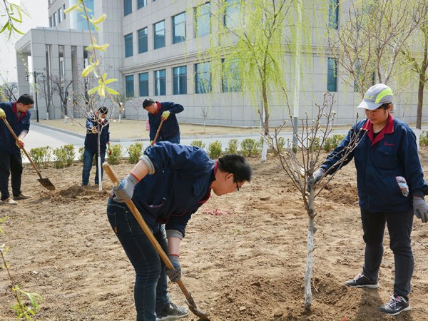 團(tuán)隊風(fēng)采